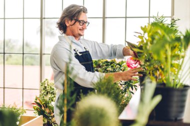 Mutlu bahçıvan kıdemli yaşlı adam bahçedeki küçük ağaçla ilgilenen çiçek sulama ve bahçeyle bahçeye bakıyor. Emeklilik kavramı.