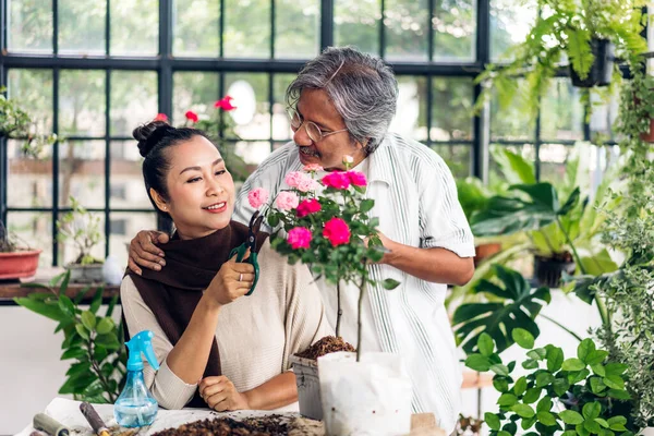 Happy Gardener Senior Old Eldery Couple Looking Young Plant Watering — Stock Photo, Image