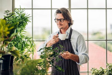 Mutlu bahçıvan kıdemli yaşlı adam bahçedeki küçük ağaçla ilgilenen çiçek sulama ve bahçeyle bahçeye bakıyor. Emeklilik kavramı.