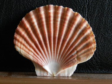 Fotoğraf stüdyoda çekildi. Kamera tripoda yerleştirildi. Çekim çok yüksek zamanlarda yapıldı. Bunu üç boyutlu nesneler için bir doku olarak kullanmak için..