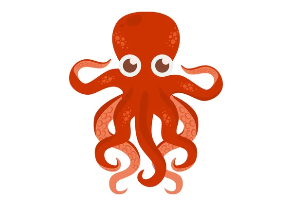 Bonito Octopus Cartoon Vector Graphics Lulas Sobre Fundo Branco — Vetor de Stock