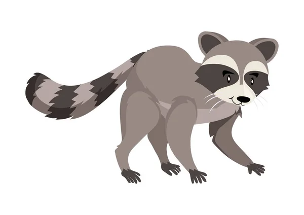 Χαριτωμένα Κινούμενα Σχέδια Raccoon Vector Graphics Ρακούν Λευκό Φόντο — Διανυσματικό Αρχείο