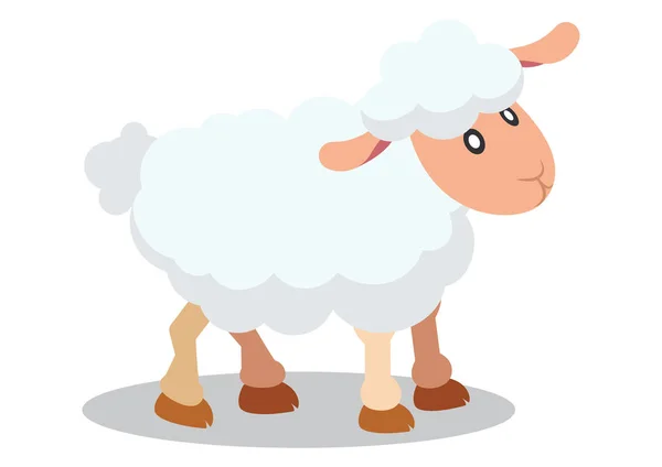 Plochý Vektorový Design Roztomilých Ovcí Karikatura Ovce Izolované Bílém Pozadí — Stockový vektor