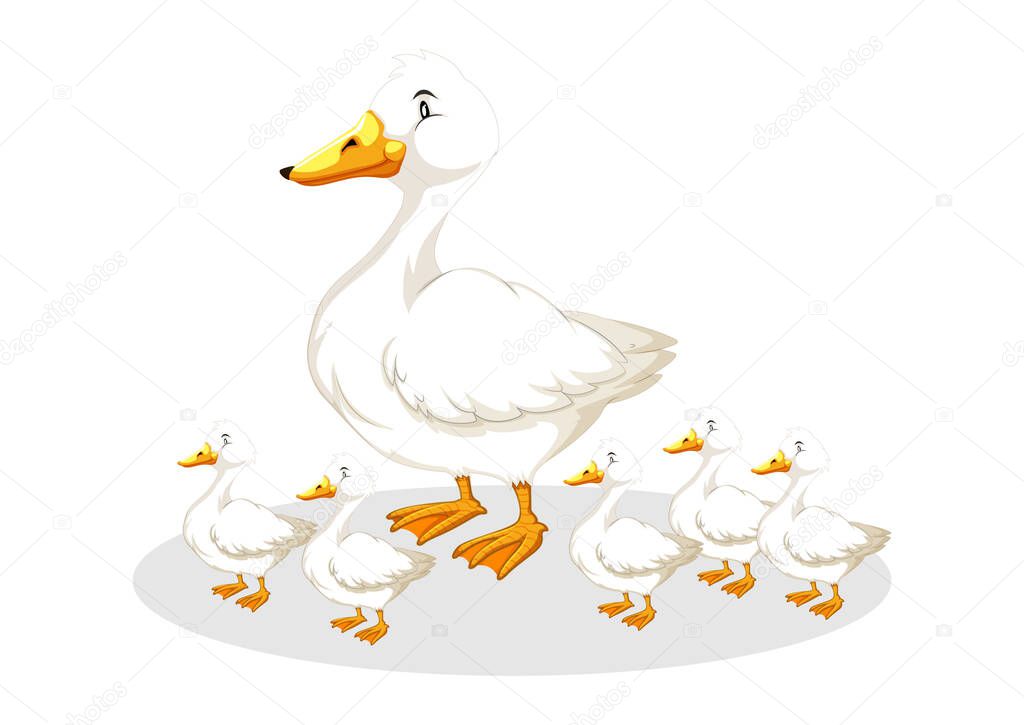 Mother duck and ducklings. Cartoon vector illustration isolated on white background. Duck mother animal and family duckling