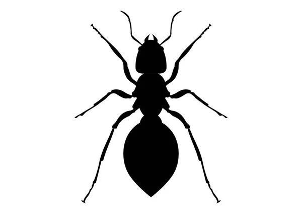 화이트앤앤앤 Black White Ant Clipart 스타일이다 백지에 고립된 개미에 민간인 — 스톡 벡터
