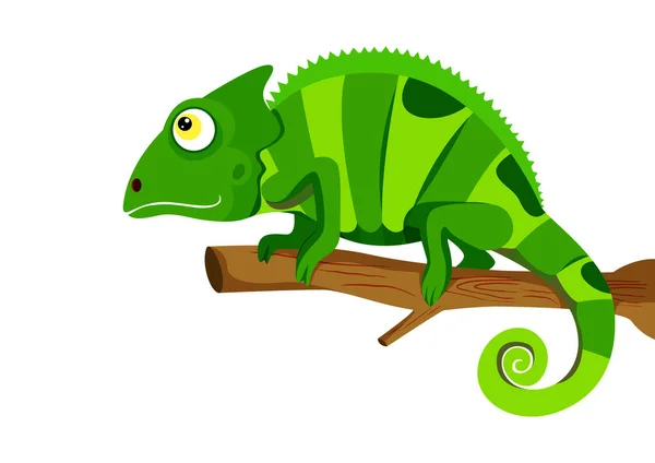 Chameleon Lizard Standing Branch Stick Vector Illustrator Chameleon Lizard Isolated — Stock Vector