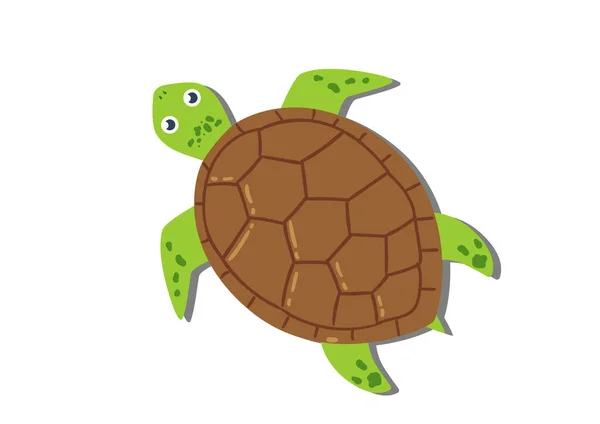Cartoon Turtle Flat Style Vector Illustration Turtle Icon Isolated White — Stock Vector