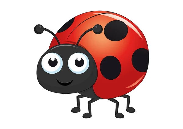 Ladybugキャラクターベクトルイラスト 白い背景に隔離された漫画てんとう虫 — ストックベクタ