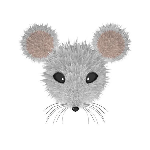 Realistická Myší Hlava Fur Effect — Stockový vektor