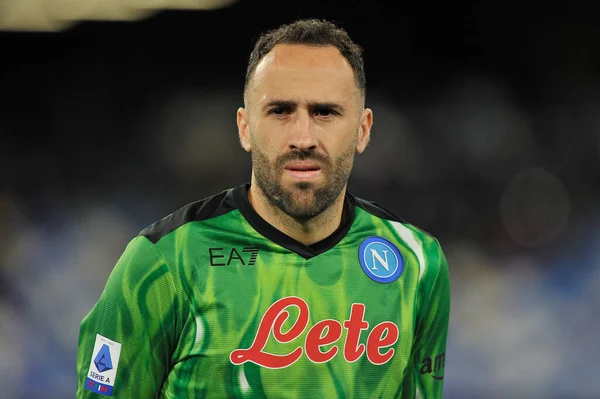 Salvatore Sirigu Jogador Torino Durante Jogo Liga Italiana Futebol Serie —  Fotografia de Stock Editorial © VincenzoIzzo #464928448