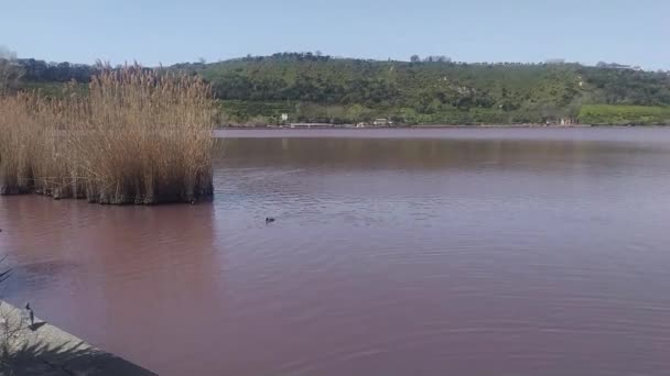 Las Aguas Del Lago Volcánico Averno Están Teñidas Rojo Debido — Vídeos de Stock