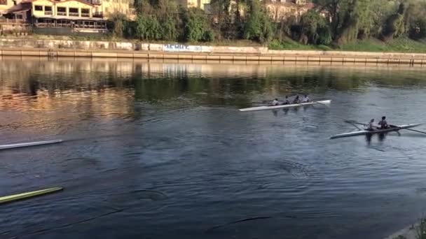 Athletes Canoes River Valentino Park Turin — Stock Video
