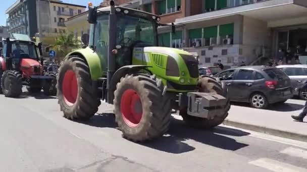 Çiftçiler Campania Dan Gelen Bufalo Yetiştiricilerinin Bir Gösterisi Sırasında Mozzarella — Stok video