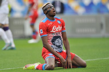 Napoli 'den Victor Osimhen, İtalya Serie A Ligi maçında Napoli - Fiorentina final maçı, Napoli 2, Fiorentina 3, Diego Armando Maradona Stadyumu' nda oynandı.. 