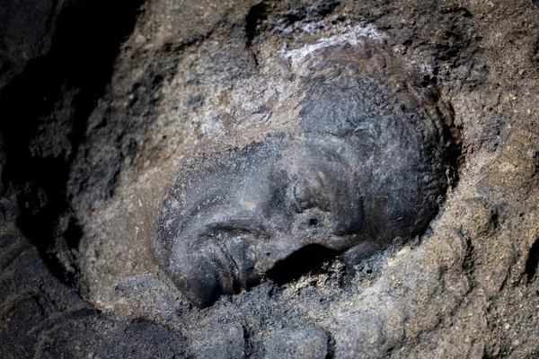 Силует Людського Обличчя Вирізьблений Скелі Під Час Відкриття Стародавнього Підземного — стокове фото