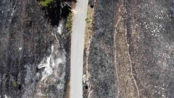Vegetation Destroyed Trees Burned Vast Fire Hit Mountain San Michele — Stockvideo