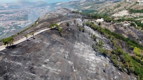 Vegetatie Verwoest Bomen Verbrand Door Enorme Brand Die Berg San — Stockvideo