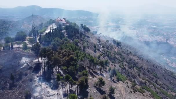 Vegetation Destroyed Trees Burned Vast Fire Hit Mountain San Michele — Stock video