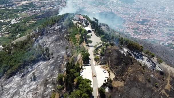 Vegetation Destroyed Trees Burned Vast Fire Hit Mountain San Michele — Stock video