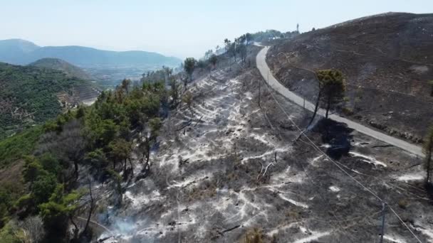 Vegetation Destroyed Trees Burned Vast Fire Hit Mountain San Michele — Stock videók