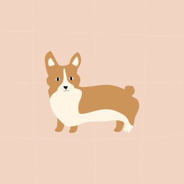 Pastel arka planda şirin bir Corgi yavrusu. Sevimli karakter kahverengi safkan köpek. Galce Corgi Pembroke el çizimi vektör çizimi.