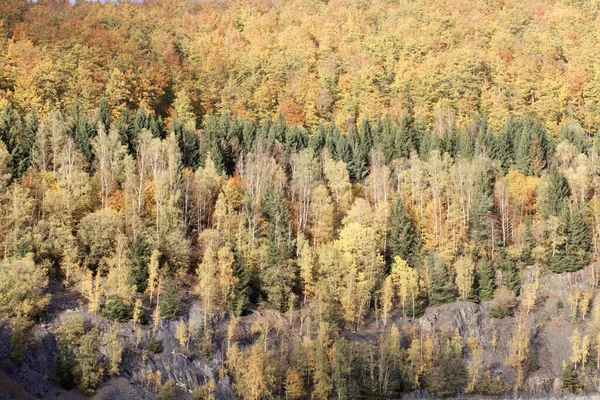 Kolorowe Lasy Jesienne Górach Puszczy Turyngijskiej Niemcy — Zdjęcie stockowe