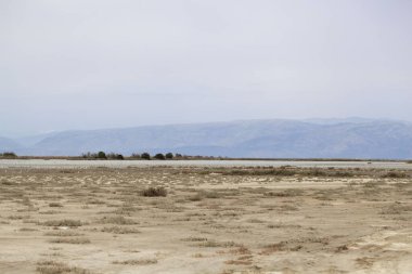 Lefkimmi tuzu Yunanistan 'ın Korfu şehrinde, doğa korumalı bir bölgede tava olarak kullanılıyor.. 