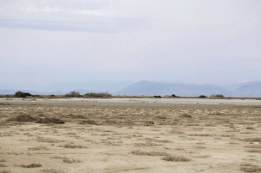Lefkimmi tuzu Yunanistan 'ın Korfu şehrinde, doğa korumalı bir bölgede tava olarak kullanılıyor.. 
