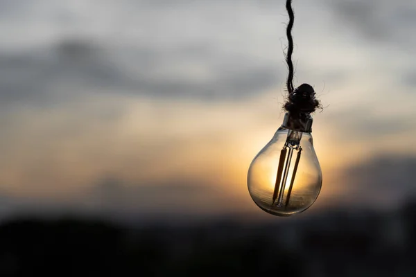 Light bulb hanging by a rope illuminated by the sunset sun with a city in the background of the image