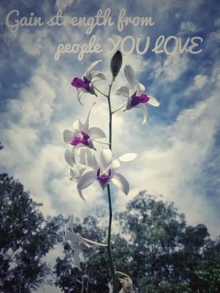 Harika ilham verici ve motive edici alıntılar veya metinler.