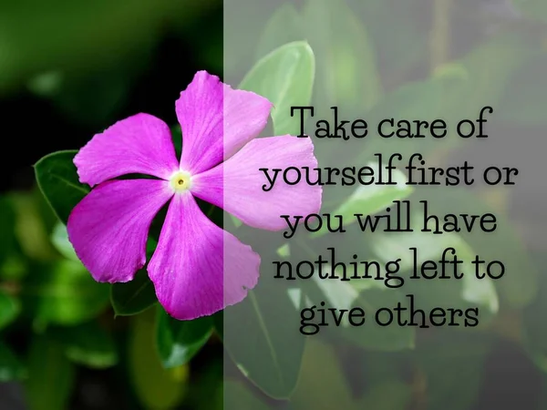 Inspirational motivational quote - Take care of yourself first or you will have nothing left to give others. With pink flower background. — стоковое фото