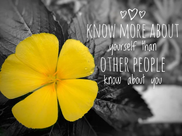Inspirerend en motiverend citaat op beeld - Weet meer over jezelf dan andere mensen over je weten. Gele bloem met donkere en wazige achtergrond. — Stockfoto