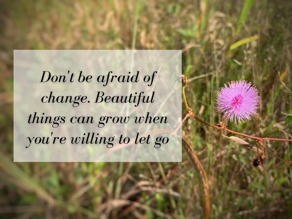 Motivational and Inspirational quotes - Dont be afraid of change. Beautiful things can grow when youre willing to let go. Motivational concept. — Stock Photo, Image