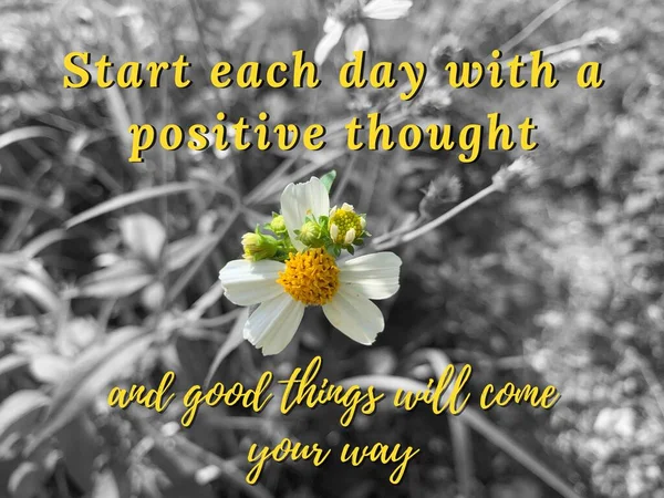 Citas motivacionales e inspiradoras - Comience cada día con un pensamiento positivo. Con hermosa flor blanca y fondo de jardín. Concepto motivacional — Foto de Stock