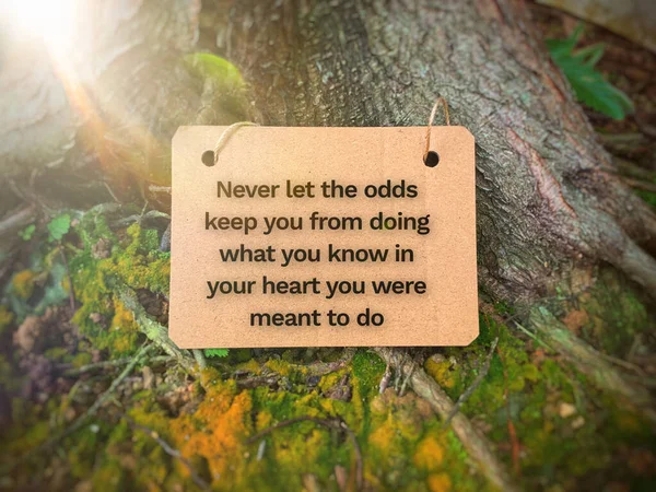 Motivational and inspiration quotes on wooden cardboard. With tree background. Motivational concept. — Photo