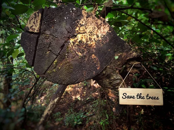 Salvar o texto árvores em pequeno bloco de madeira. Com árvore e fundo da selva. — Fotografia de Stock