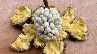 Borneo Sabah 'ın Tarap meyvelerine yakından bakın. Nadir meyve kavramı