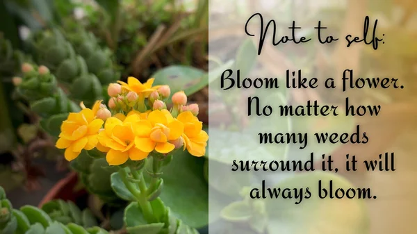 Motywacyjny i inspirujący cytat - Kwitną jak kwiat. Możesz się dzisiaj obudzić i zmienić. Z żółtym kwiatem z zamazanym tłem. — Zdjęcie stockowe