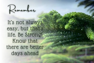 Çiçek ve doğa özgeçmişli ilham verici ve motivasyon verici alıntılar..