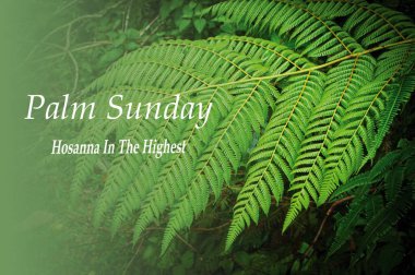 Palm Sunday ve Hosanna palmiye yaprağı arkaplanlı en yüksek metinde. Dini kavram