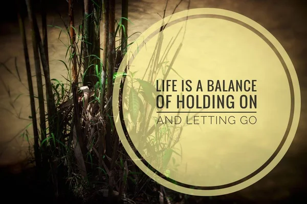Мотиваційна цитата Життя баланс утримувати і відпускати. З бамбуком і водяним фоном . — стокове фото