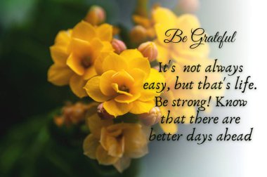 İnpirasyonel alıntı metni. Her zaman kolay değildir ama hayat böyledir. Güçlü ol. Önümüzde daha güzel günler olduğunu bil. Sarı çiçek arkaplanlı. Motivasyon kavramı
