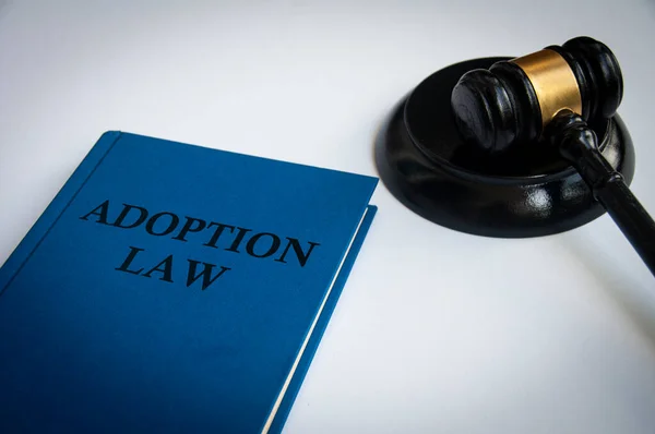 Вид Сбоку Книги Adoption Law Book Gavel White Background Концепция — стоковое фото