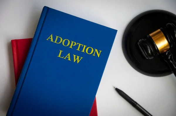 Вид Сверху Книги Adoption Law Book Перьевой Ручкой Белом Фоне — стоковое фото