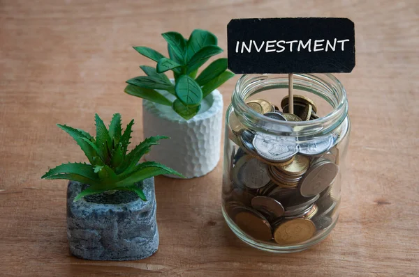Investeringstext Liten Svart Banner Med Mynt Och Växter Bakgrund Affärs — Stockfoto