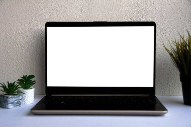 Beyaz ekranlı dizüstü bilgisayar ya da defter ve beyaz masadaki saksı bitkisi. İş konsepti. Boşluğu kopyala.