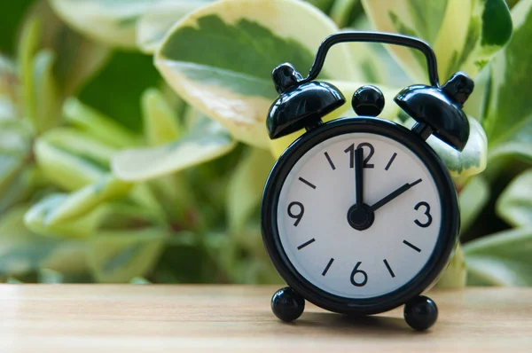 Relógio Alarme Preto Isolado Fundo Natureza Turva Relógio Está Marcado — Fotografia de Stock