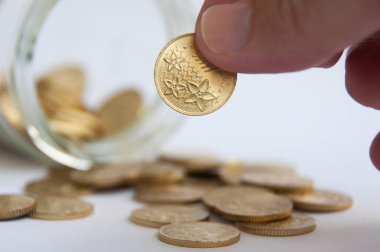 Hand holding gold coin. Business and finance concept