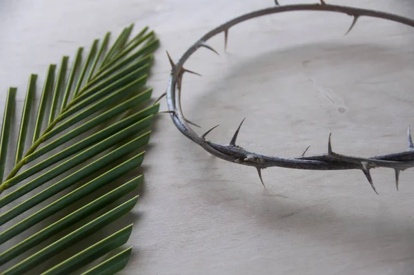 The crown of thorns with palm leaf background.