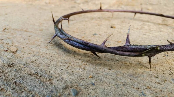 İsa 'nın dikenli tacı. Boşluk ve Paskalya kavramını kopyala